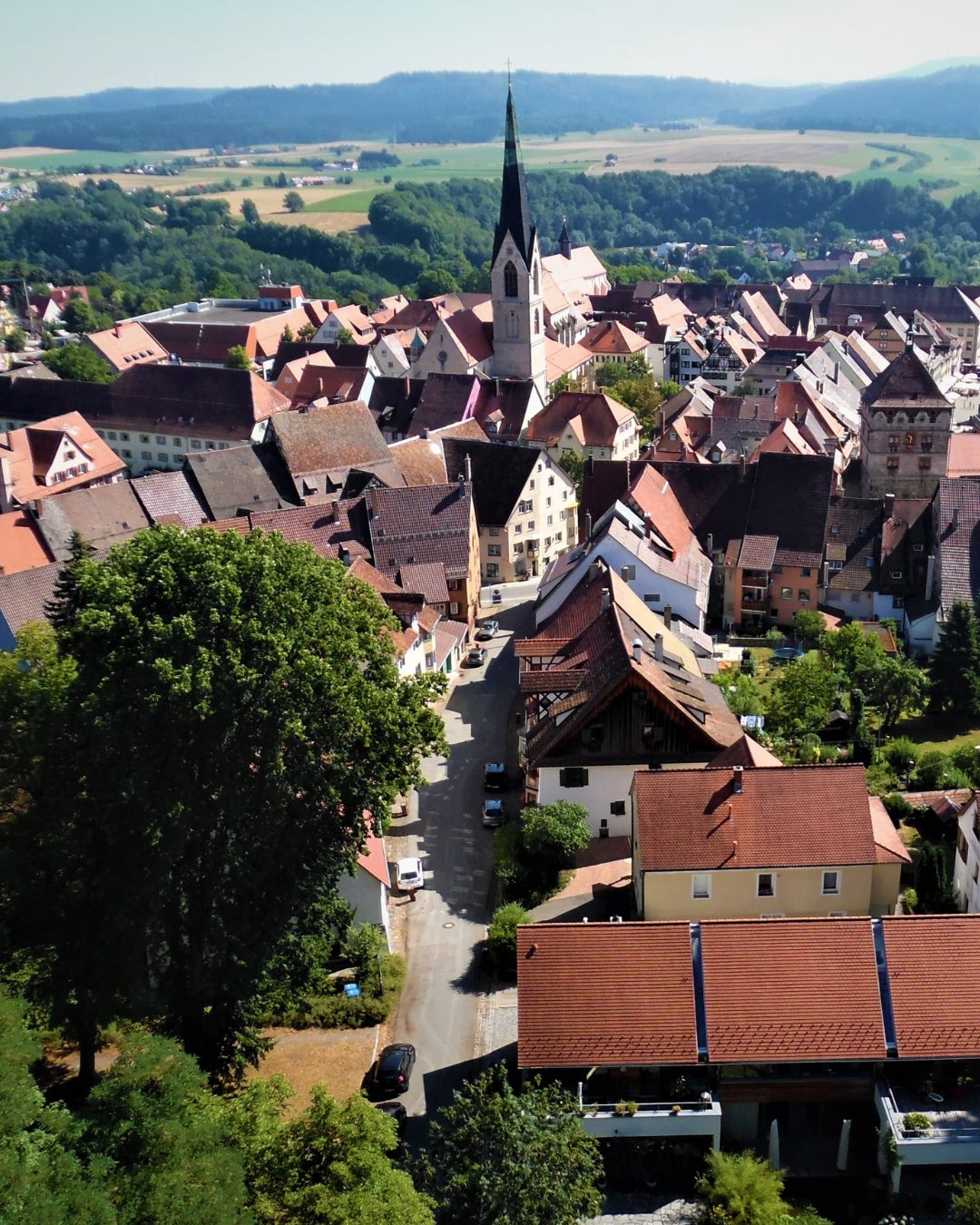 Blick über die Altstadt von Rottweil mit Münster und Schwarzwald
